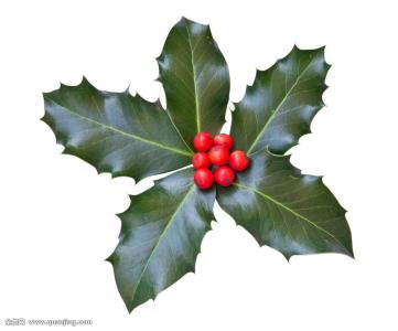 ֱΪʯҵ 㶫Ļᡰ˷硱ת