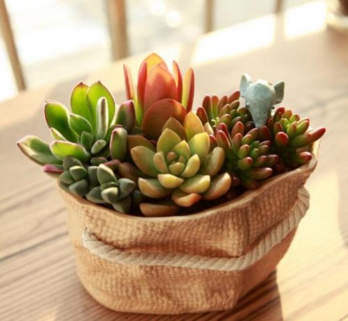 ӦԼһΪսҲޡ