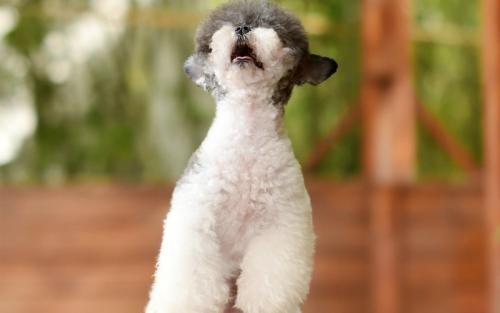 ҳܰ,ʦ͵͵ڿ ϸλǩЭ飿