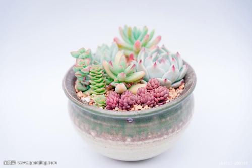 ںӹ2ȷ1֢״Ⱦг̹켣